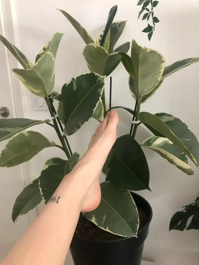 Leak & nude 2 — lesjolispiedsdalexandra