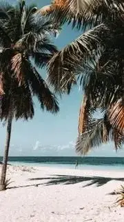 Avatar de Voyagefacile