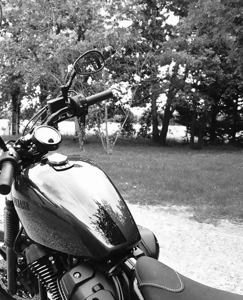 Photo de couverture de meltivu