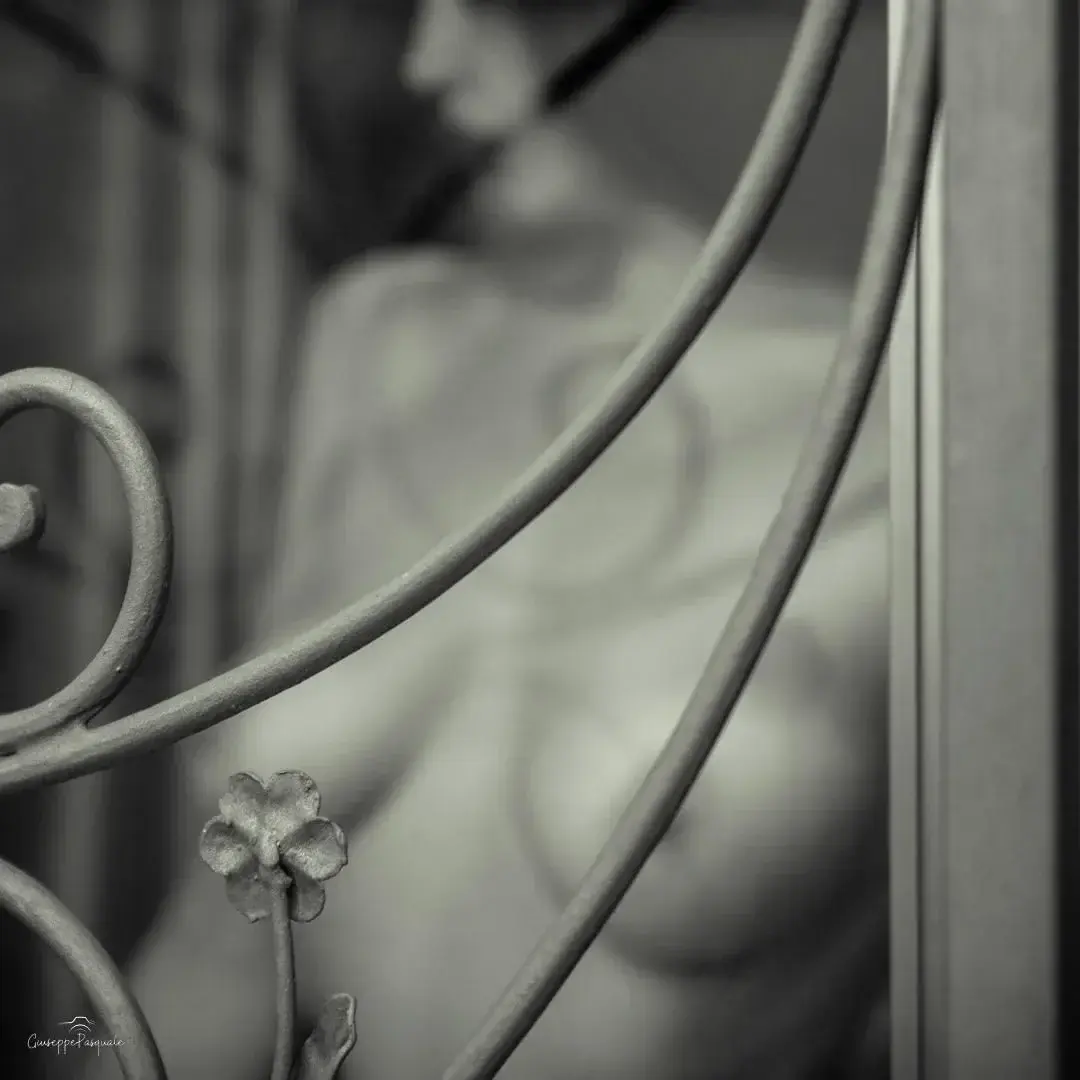 Avatar de Gp_nudeart