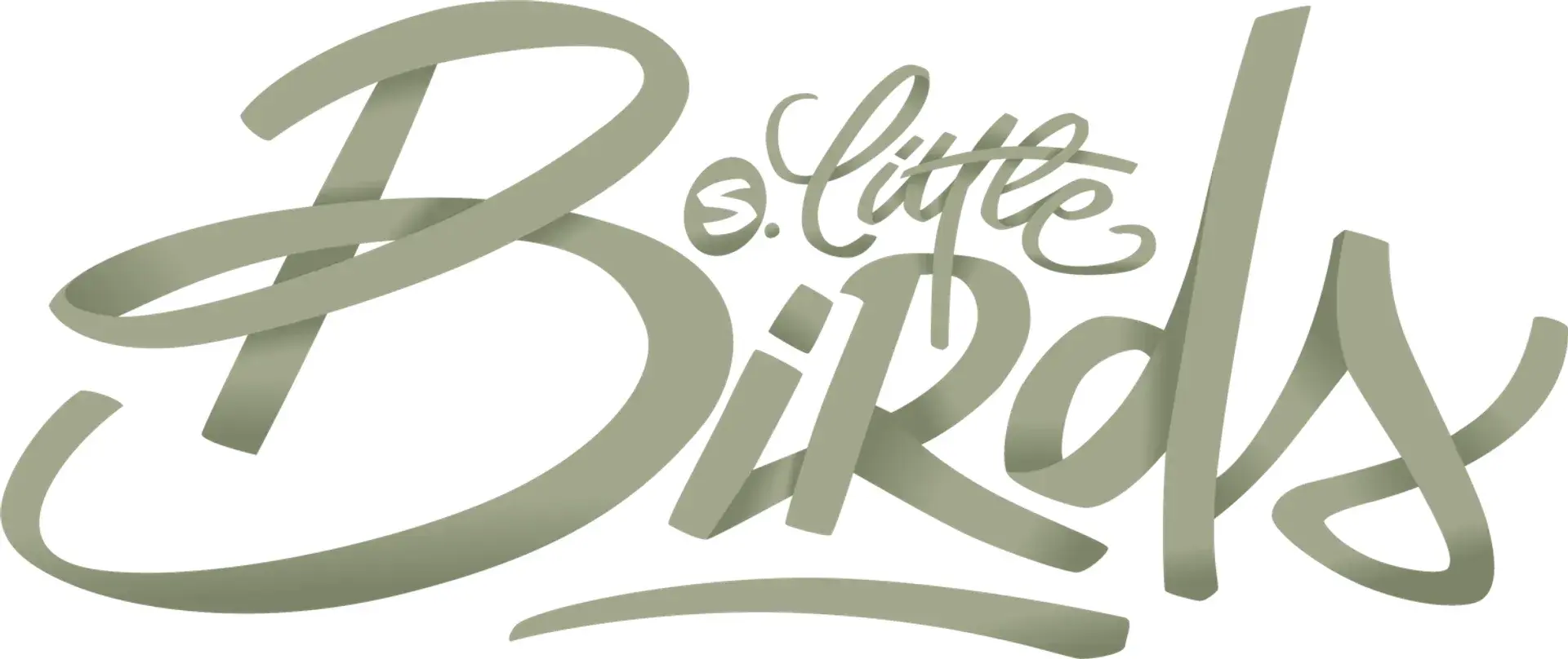Photo de couverture de Slittlebirds