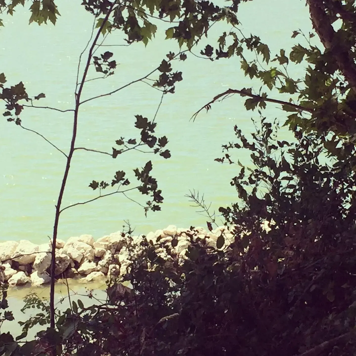 Photo de couverture de lola3884