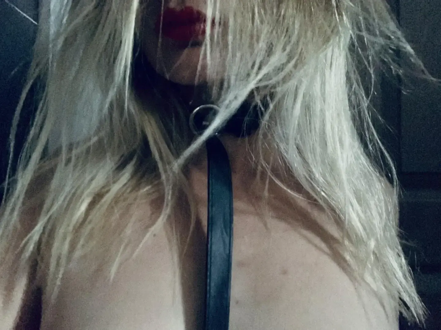 Photo de couverture de Venisebitch