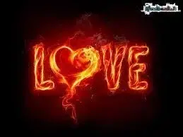 Photo de couverture de Milady_1224