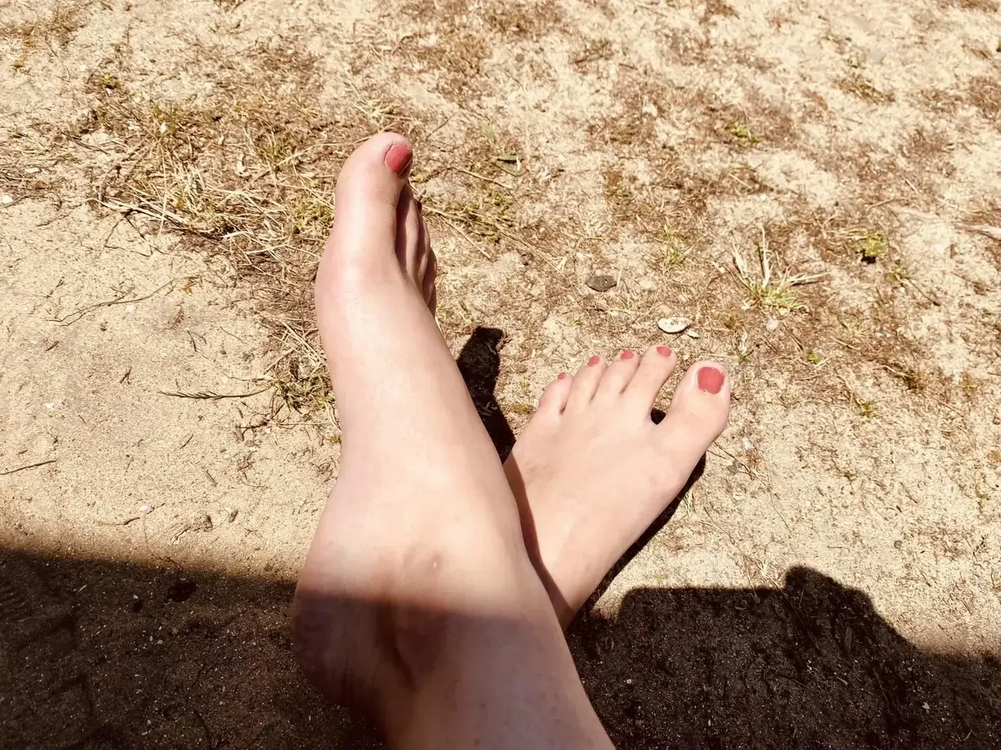Avatar de Petitpied_elise