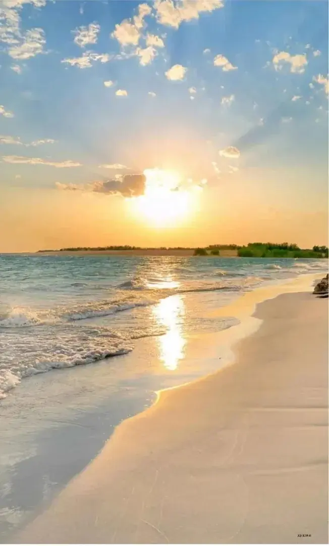Photo de couverture de Carlita317