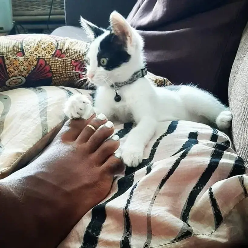 Leak & nude 3 — Ninasky_karibean_feet