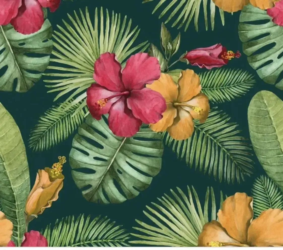 Photo de couverture de Bullemagique