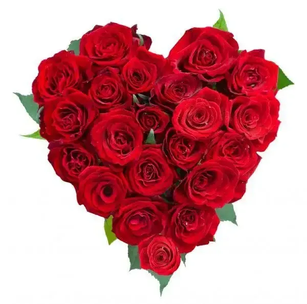 Avatar de Liliefeetlovers