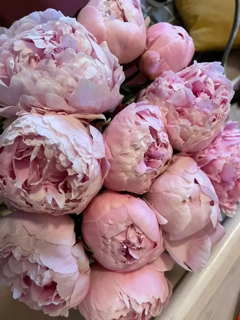 Oh,I love flowers 💕😍