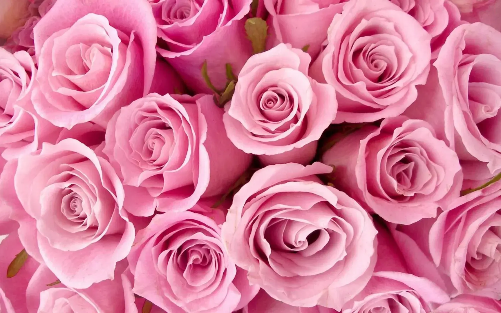 Photo de couverture de Alessiabardella