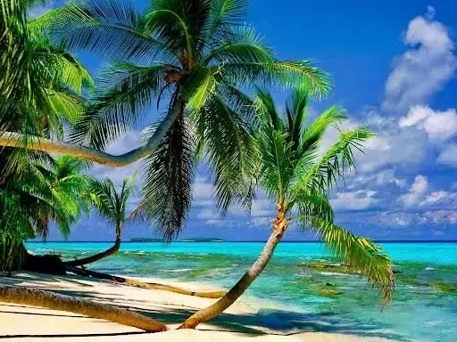Photo de couverture de Emil_ie
