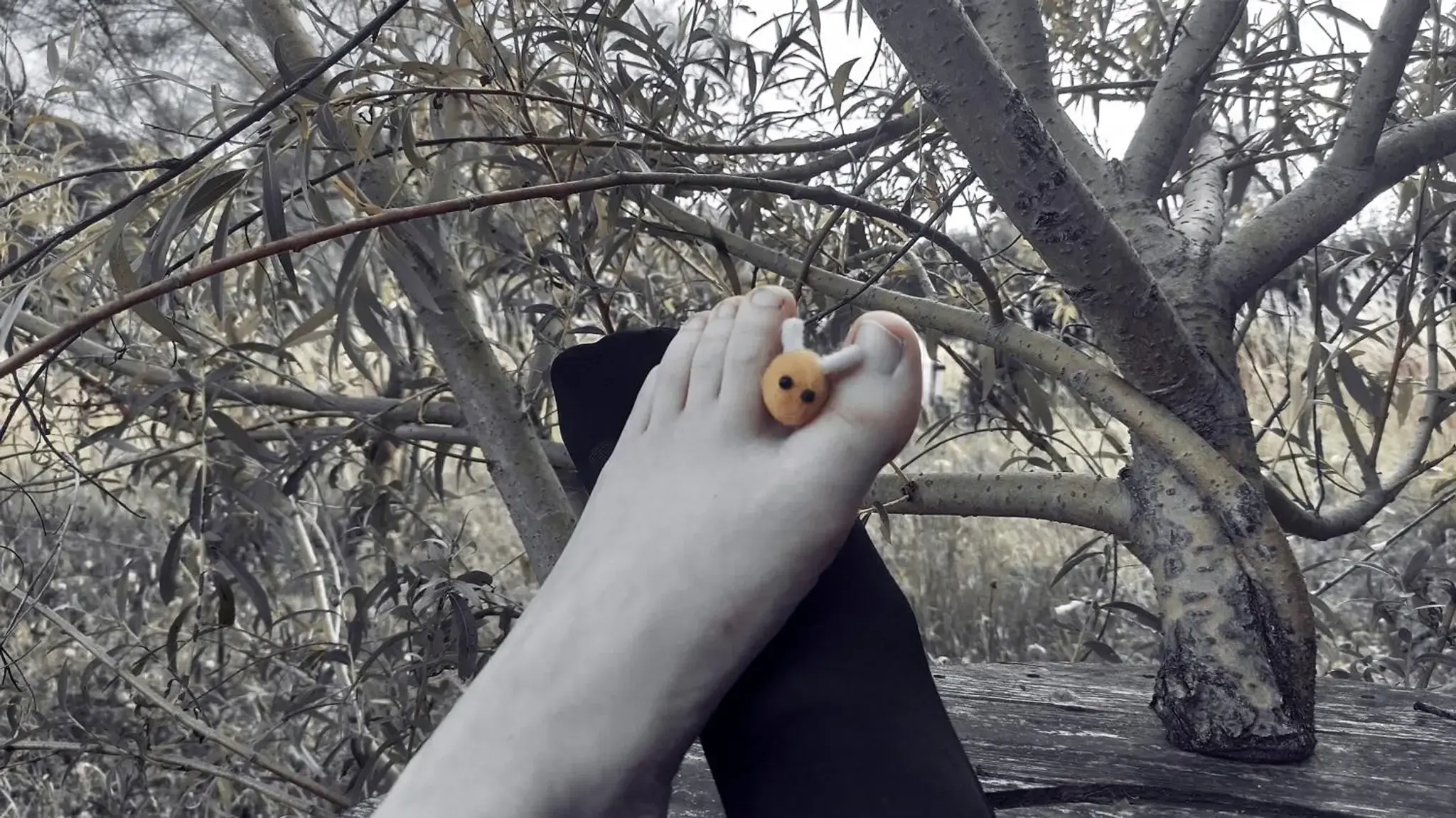 Les pieds au repos dans la nature.