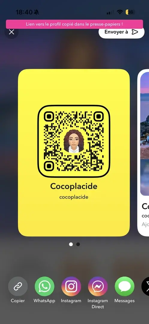 Leak & nude 1 — Cocoplacide
