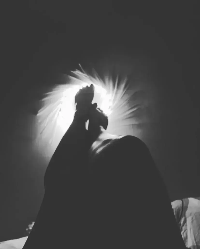 Photo de couverture de Lynnfeet