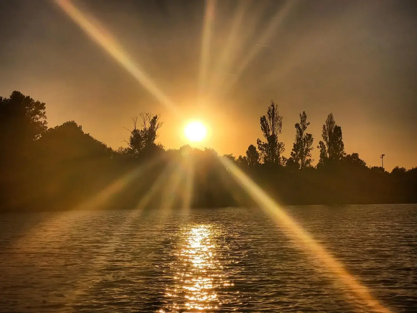 Photo de couverture de Folledu31