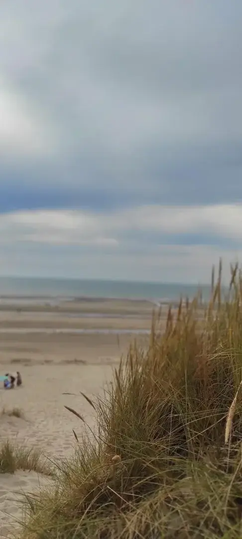 Berck plage ❤️⛱️