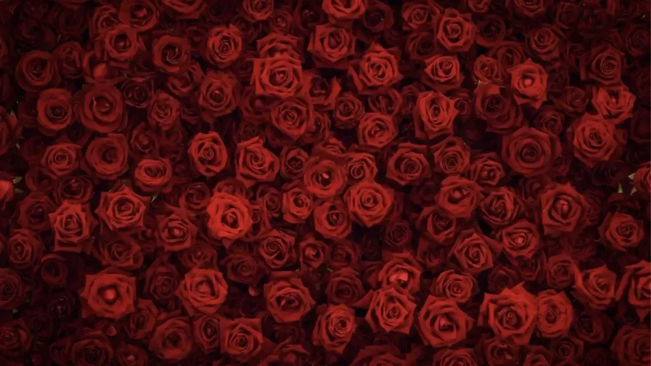 Photo de couverture de Lyrah