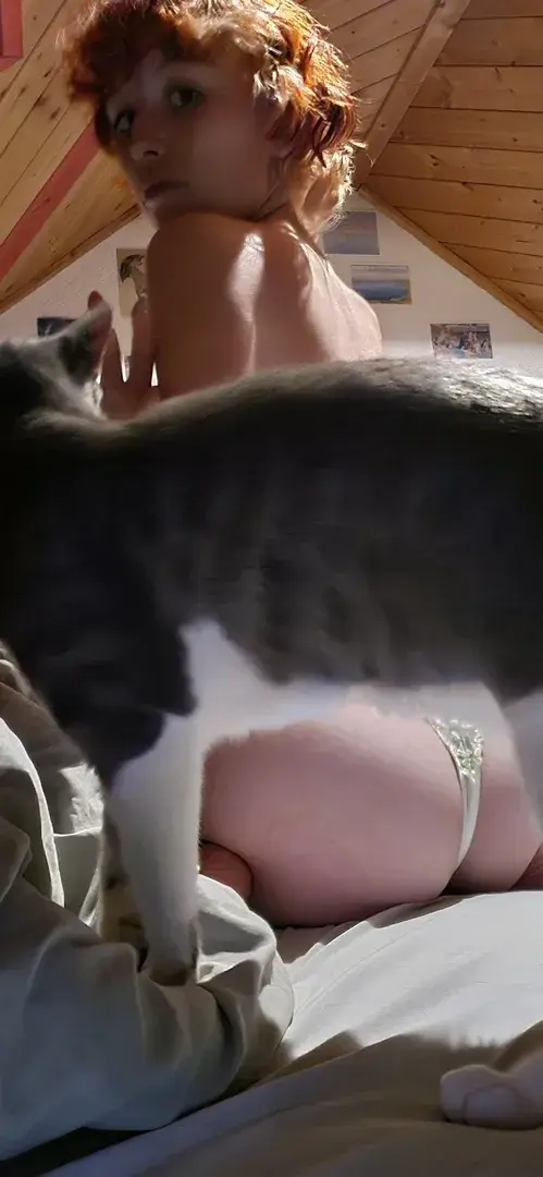 miaou