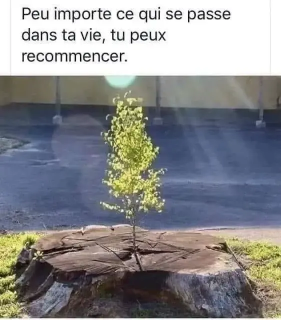 Avatar de Ton_educateur