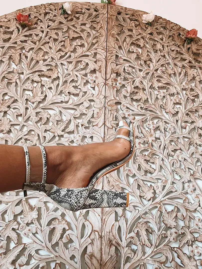 🐍