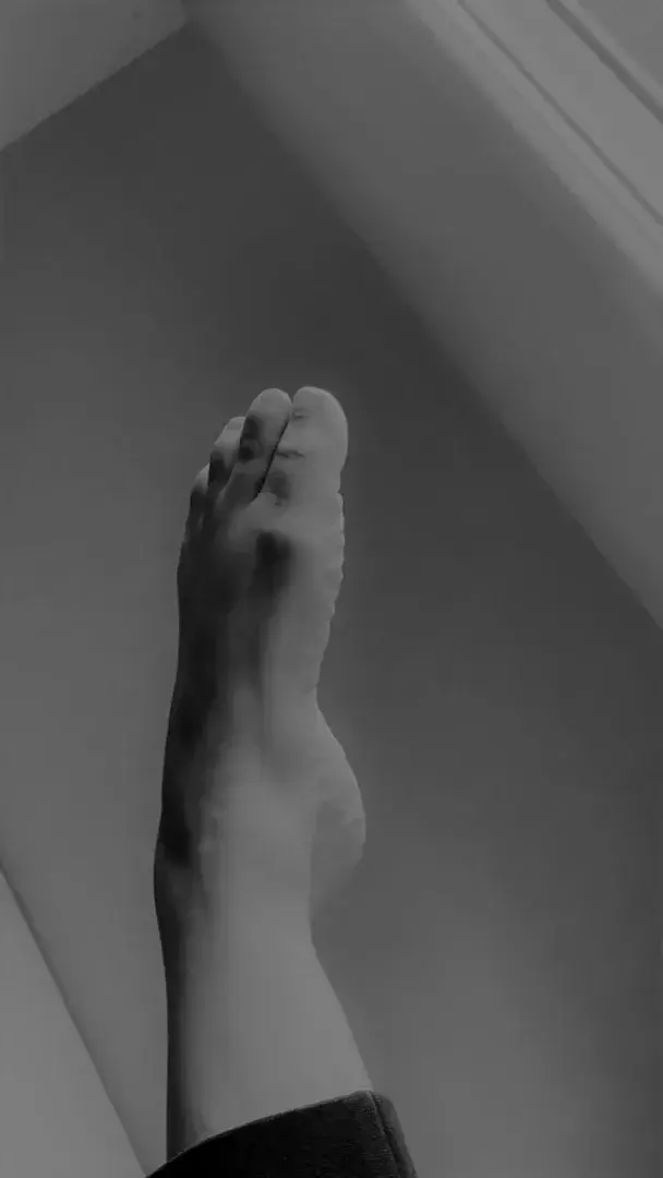 Photo de couverture de Purplefeed69
