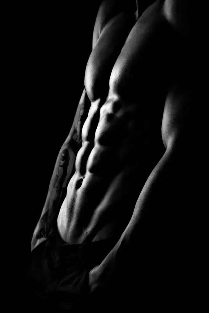 Photo de couverture de Presencebrute