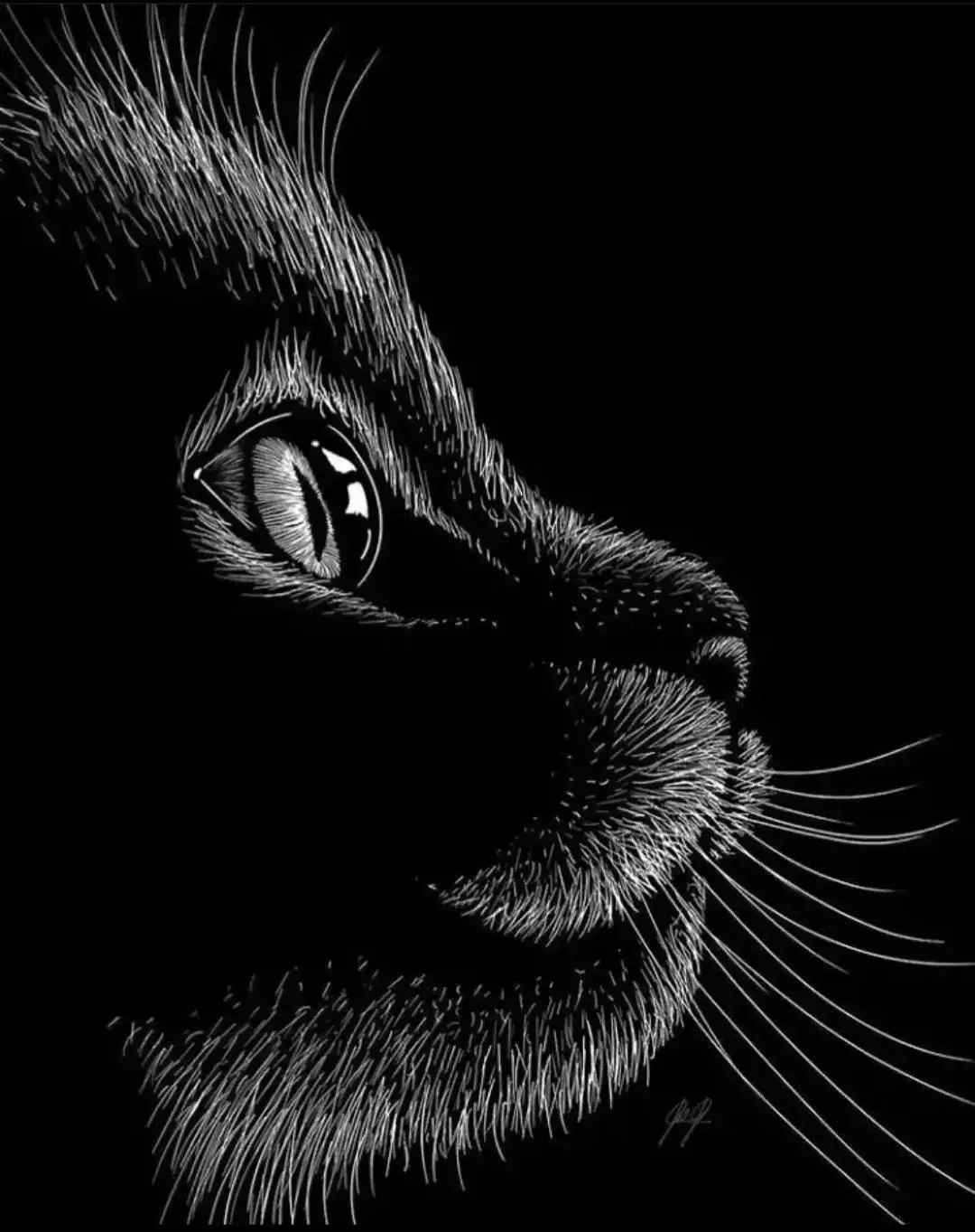 Photo de couverture de Tiffy
