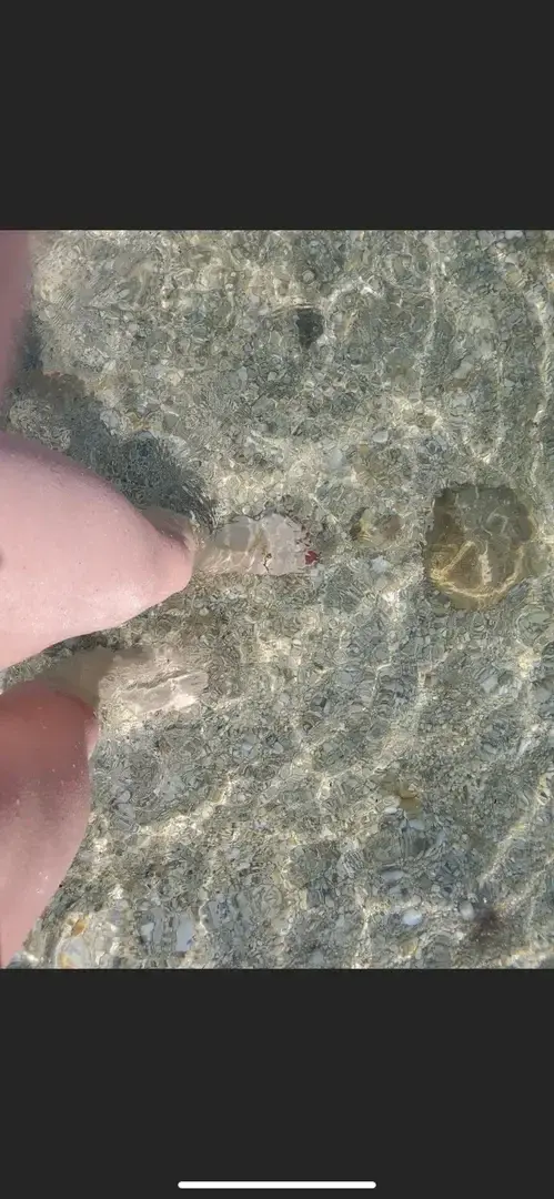 Avatar de Feetpicscamille