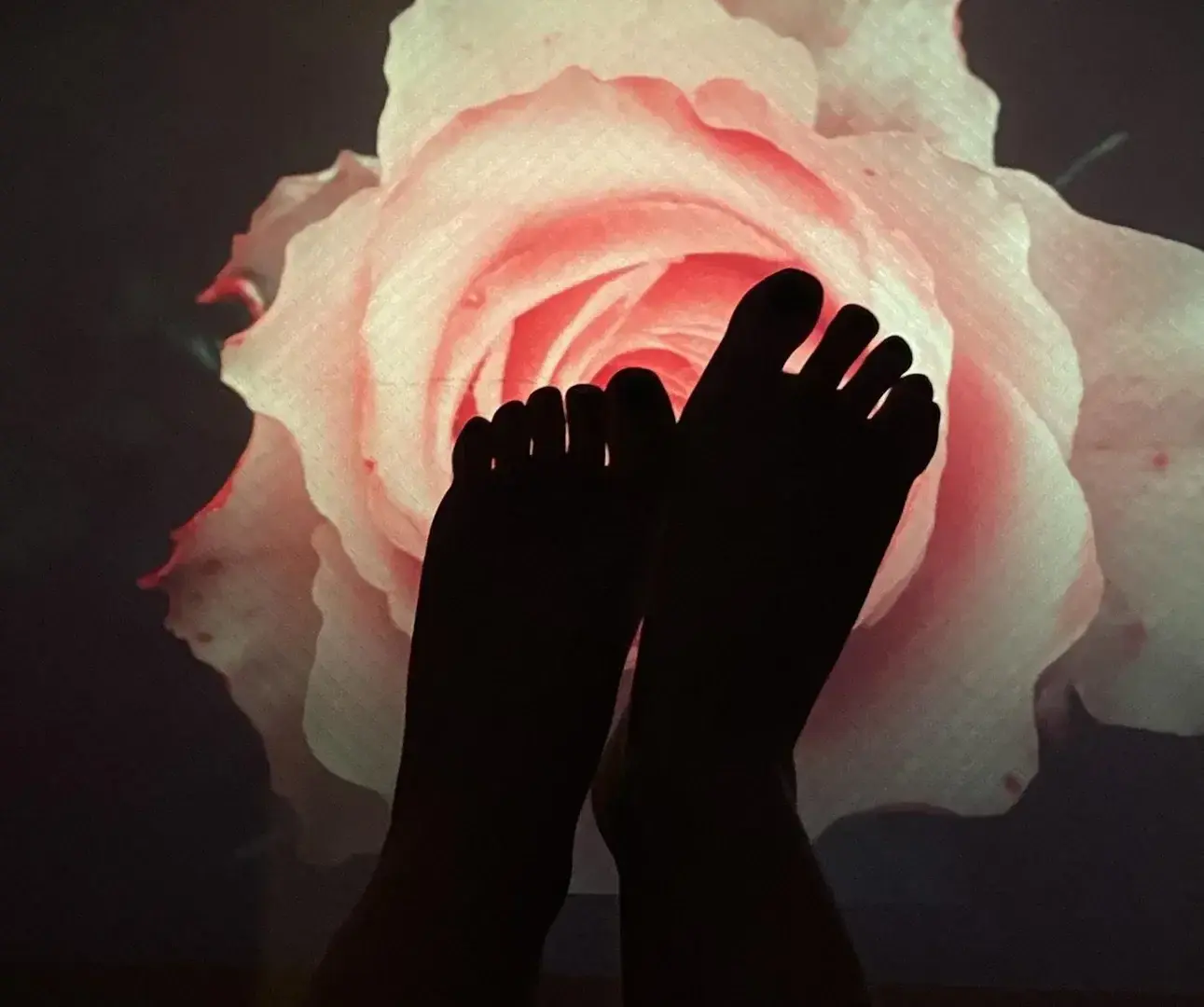 Avatar de Feet_of_lima