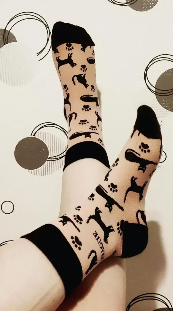 Un deux trois, trois petits chats 🎶#socks #sock #onedaytwofeet #meetmyfeet #feet #foot #fetish #buymyfeet #pied #pied #chaussettes #chaussette