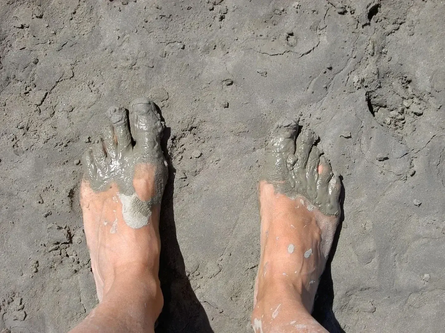Leak & nude 3 — zeddfeet