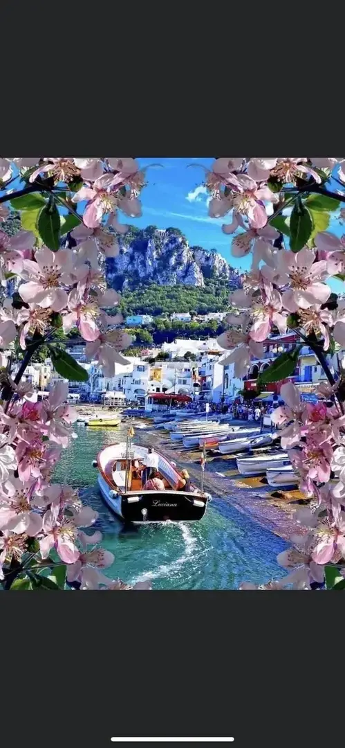 Photo de couverture de Lila118
