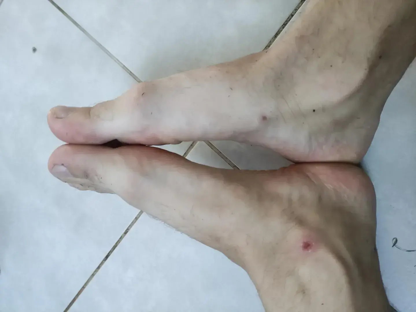 Avatar de Workerfeet