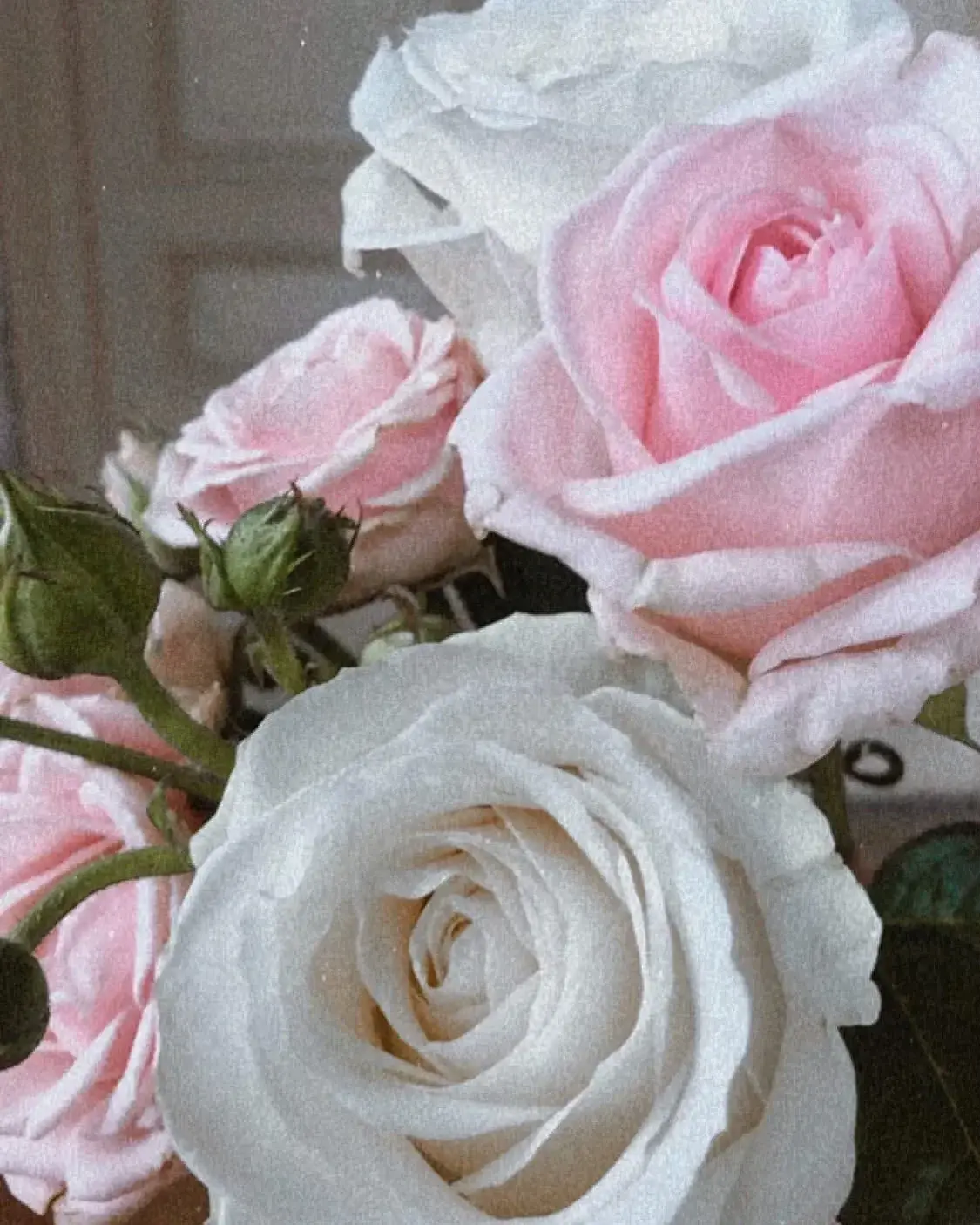 Photo de couverture de Zeina6_