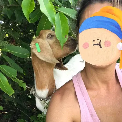 Une complicité unique avec un de animaux d’élevage 🐾 #amouranimal #fermeheureuse