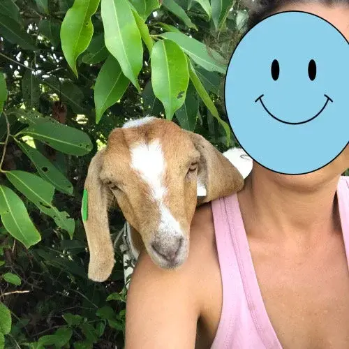 Une complicité unique avec un de animaux d’élevage 🐾 #amouranimal #fermeheureuse
