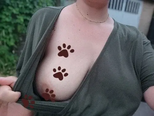 J'ai été balader la chienne... Oups... Le chien ! -50%  sur ton abonnement avec le code ARIA50🤭🤭