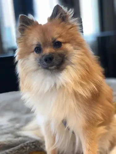 O mais fofinho!!! 