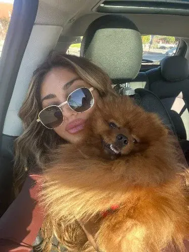 Dog 🐶