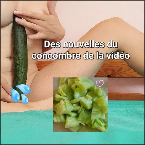 Le destin juteux d'un concombre
