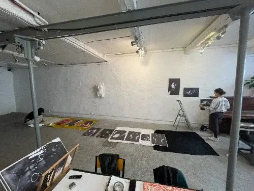 Retour en images sur mon exposition, LES LARMES DE PALLAS.