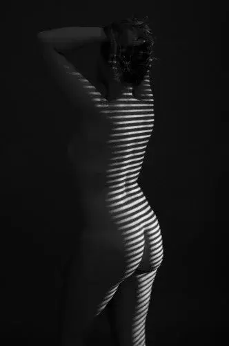 Courbes et ombres