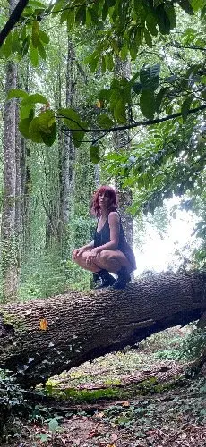 Photo exclusif d’une balade en forêt 🌳 