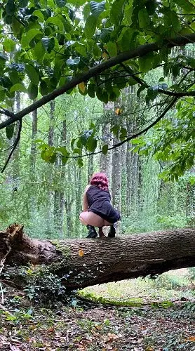 Ma petite balade en forêt ❤️ suite de photos à venir découvrir ❤️