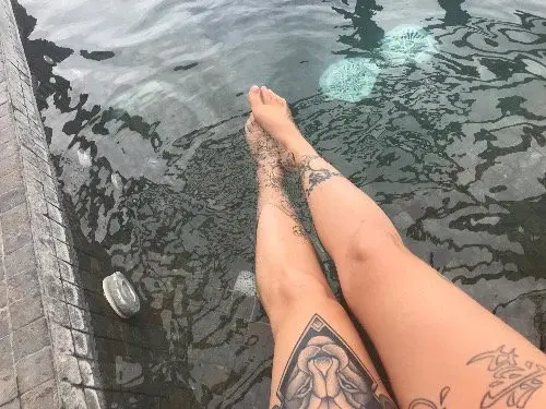 Legs 