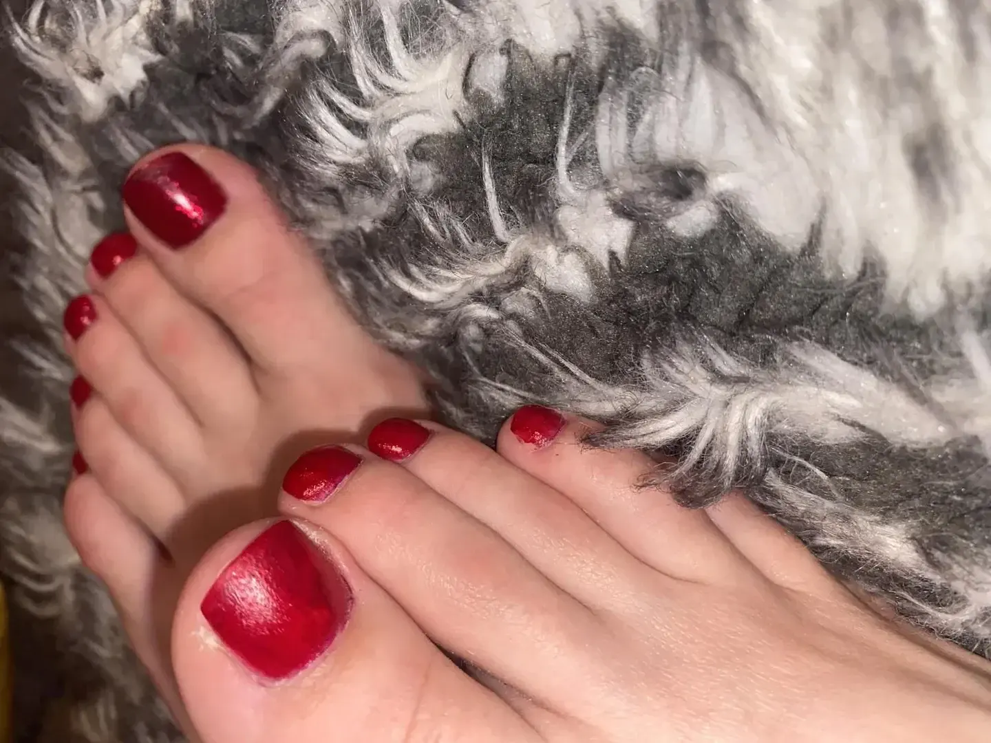 Photo de couverture de Norvina
