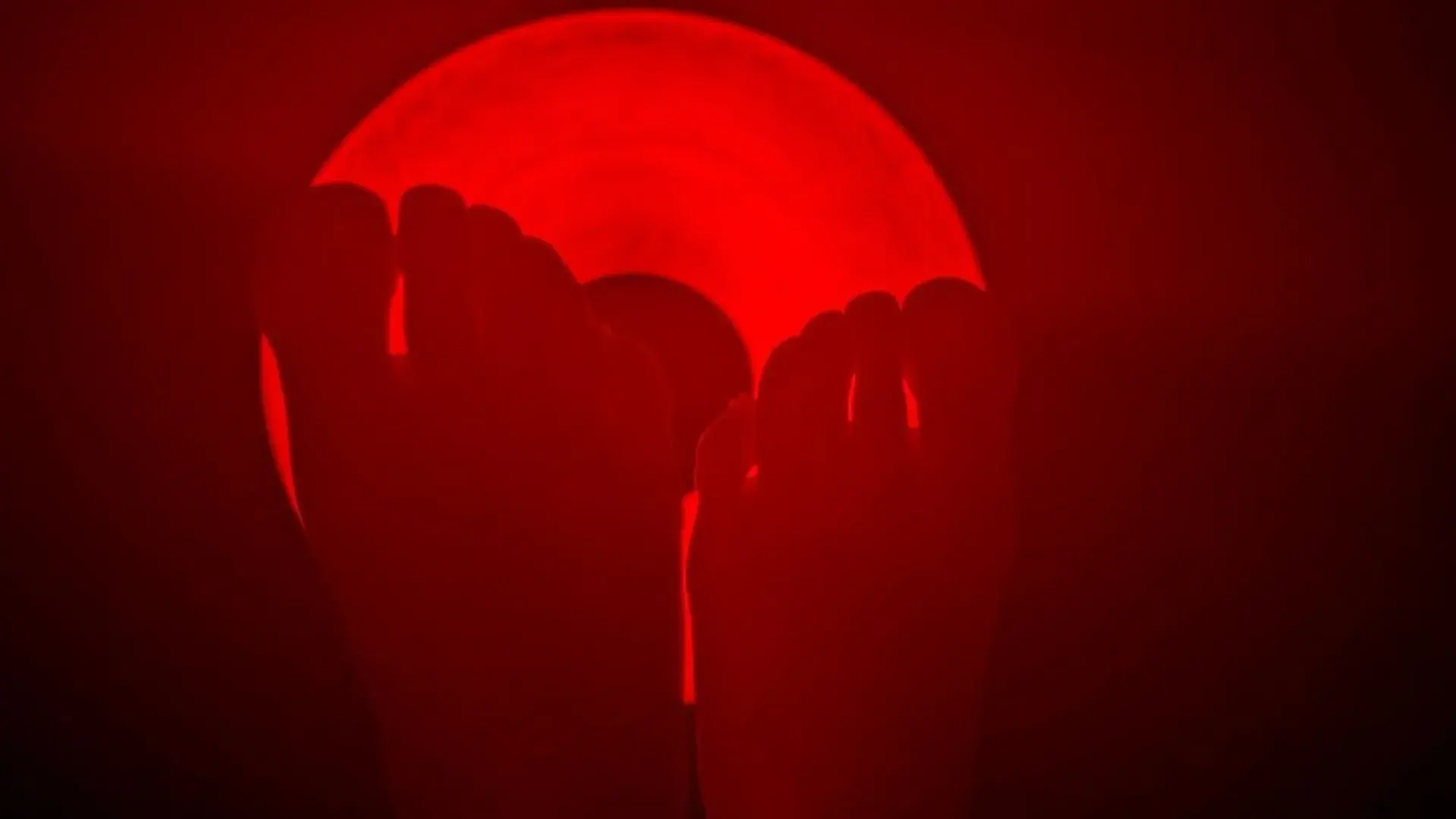 Leak & nude 2 — Handmaidsfeet
