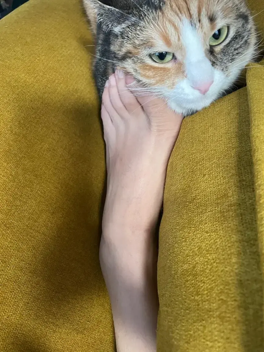 Leak & nude 1 — Lovemypied