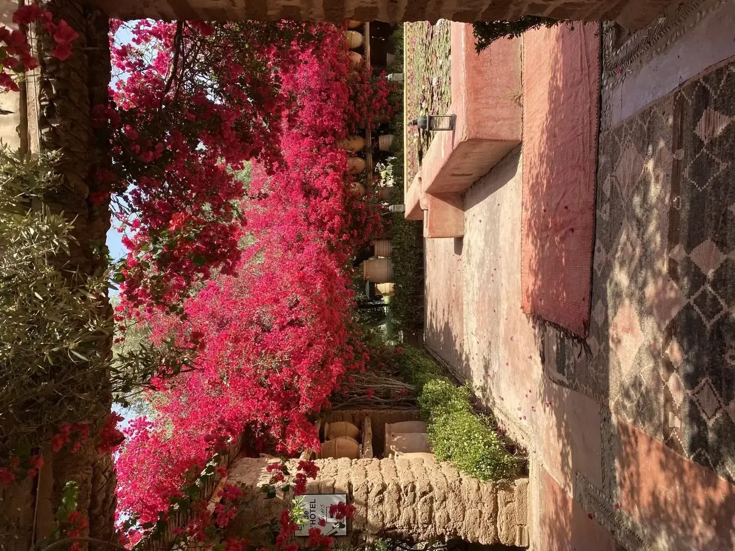 Photo de couverture de Lxnana